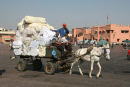 Et af de foretrukne transportmidler i de smalle gyder i medinaen i Marrakech er små vogne trukket af heste, æsler eller muldyr. Her en på vej tværs over plads Jemaa el Fna.