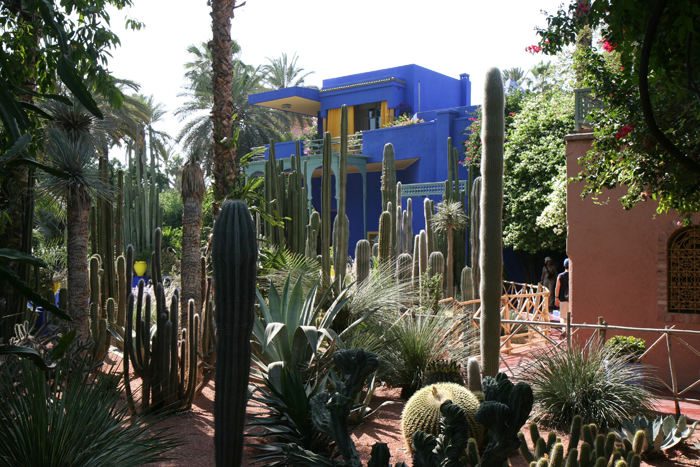 Jardin Majorelle i Marrakech. En oase inde midt i byen. Haveanlægget var ejet af den nu afdøde Yves Saint Laurent (død 1/6/2008). 