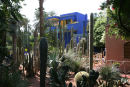 Jardin Majorelle i Marrakech. En oase inde midt i byen. Haveanlægget var ejet af den nu afdøde Yves Saint Laurent (død 1/6/2008). 