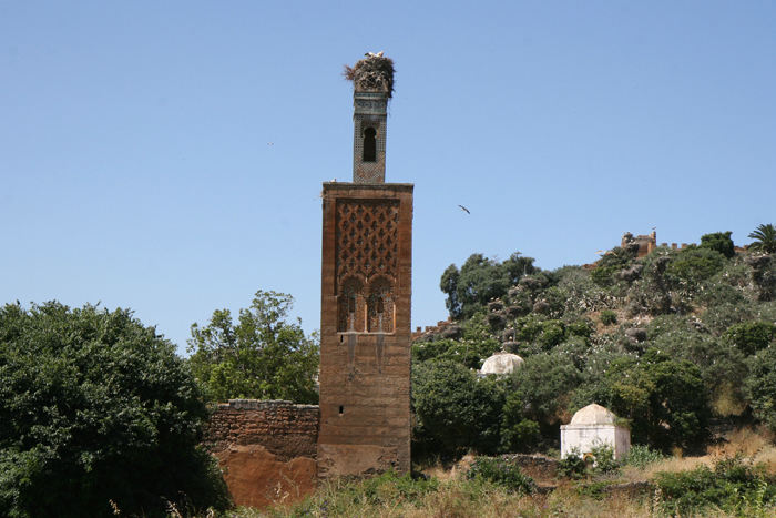 Minareten til moskeen i Chellah. Der er storkereder overalt, selv på toppen af minareten. 