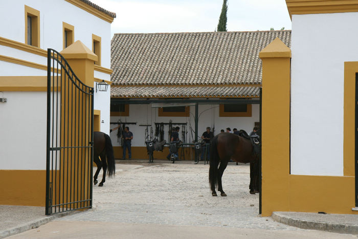 Et kik ind i Real Escuela Andaluzia del Arte Ecuestre, hvor de opdrætter og træner heste til skoleridning og anden form for opvisning og konkurrence. 