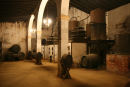 Det gamle destilleri på bodega Gonzalez Byass, hvor de laver brandy af sherry. De bruger det ikke længere, de har for længst bygget et nyt.   