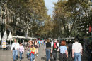 Rambla’en i Barcelona er lidt speciel. I midten er der en bred ”gade” beregnet til fodgængere og trafikken er henvist til en smal kørebane på hver side. Der er masser af boder langs Rambla’en.  