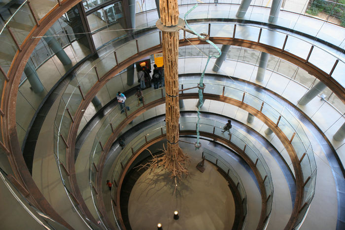 Indgangspartiet i CosmoCaixa – Museum for Naturvidenskab. Man følger en lang spiralformet trappe, der følger et 15 meter højt træ fra regnskoven. (Foto Jakob)