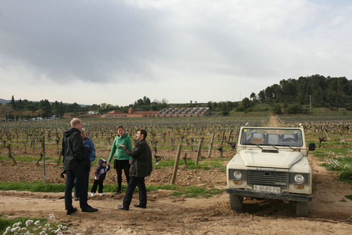 Vi fik en rigtig fin rundvisning på deres vinmarker. Vi blev kørt rundt i en Landrover af Ignasi, som forklarede forskellen på de forskellige druesorter.