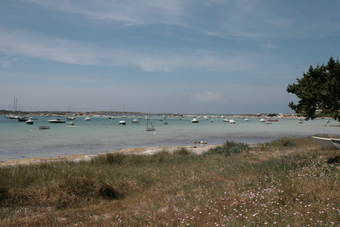 Rundt om på Formentera er der mange flotte og meget beskyttede ankerbugte. Her et blik ud over bugten Estany des Peix, som benyttes af de lokale.  