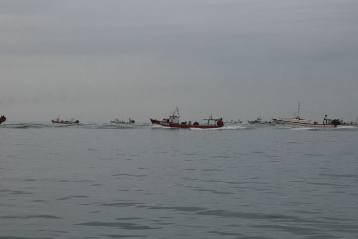 ”Fiskerræset” i Palamós. Fiskerbådene ligger stille på en linje uden for havnen; der lå ca. 30, og præcis kl. 06:55 giver de den fuld skrue og ræser ud mod fiskepladserne.
