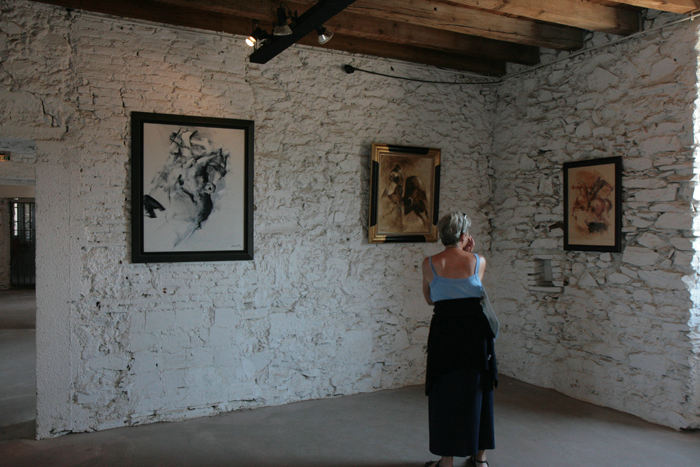 Collioure er for de franske malere, hvad Skagen er for de danske. Vi har aldrig set så mange gallerier samlet på et sted. Her en af udstillingerne på Château Royal. 