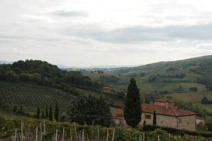 Udsigten ud over det flotte bakkede landskab i Toscana. Her fra turen mellem Volterra og San Gimignano.