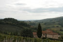 Udsigten ud over det flotte bakkede landskab i Toscana. Her fra turen mellem Volterra og San Gimignano.