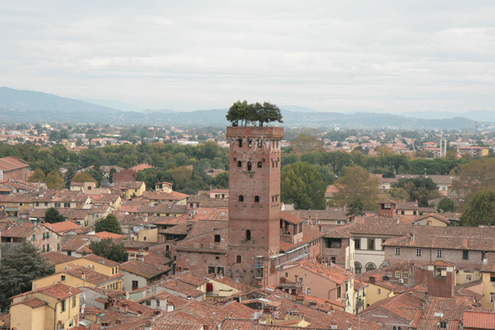 Udsigten fra Torre delle Ore i Lucca over mod det lidt specielle Torre Guinigi, hvor der gror store træer på toppen. 
