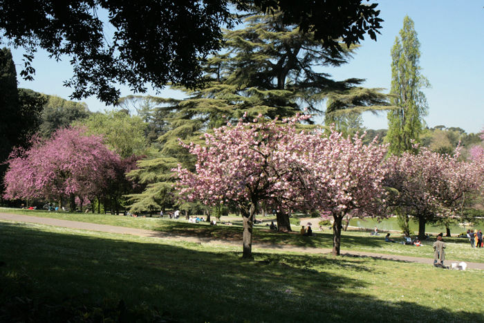 Selv om vi kun var lige først i april måned, stod træer og buske i fuldt flor i Roms største park: Parco Della Villa Borghese.