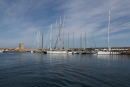 Der var regatta i Marciana Marina, den weekend vi var der. Det var nogle halvvoksne både, der deltog i kapsejladsen. Synd, at der ikke var mere vind. (Foto Jakob)