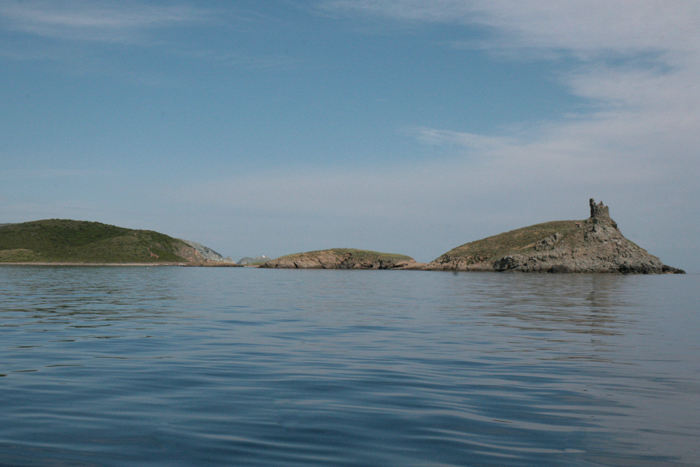 Île Finocchiarola, der ligger lige nord for Macinaggio, med ruinerne af et af de gamle vagttårne. Området mindede meget om Skotland, meget grønt og med mange ruiner af borge/tårne.  