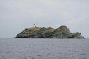 Île de la Giraglia, en lille ø, der ligger lige nord for Le Cap Corse, den nordligste del af Korsika.  