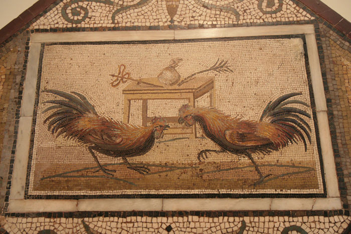 Museo Archeologico Nazionale i Napoli har en meget stor samling af mosaikker. Mange af mosaikkerne stammer fra Herculanum og Pompeji. 