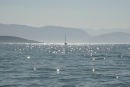Vi havde en helt speciel oplevelse, da vi sejlede fra Trizonia til Galaxidhi. Vi startede lidt tidligt, og da solen kom på himlen, gav det dette sceneri (uden nogen form for filter). 