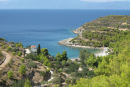 Sydkysten på Spetses med en af de flotte bugter med badestrand. Alt græs var vissent; men træerne klarede sig forbavsende godt.