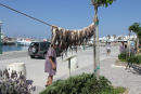 Blæksprutter hængt til tørre uden for en af restauranterne på havnen i Naousa på Paros. Det er helt almindeligt, og når folk bestiller blæksprutter, henter kokken dem ude på snoren.