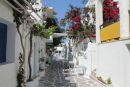 Naousa på Paros er en af de flotteste kykladebyer, vi har besøgt. Gaderne/stræderne er meget smalle, og der er blomster mange steder. Læg mærke til den flotte brolægning. 