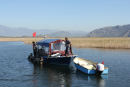 Vi lagde også til ved en af de mange fiskerbåde i Dalyan deltaet. De kastede krabber ud, som var bundet til en snøre, for at tiltrække skildpadderne. Skipperinden var heldig at se en af de store skildpadder.