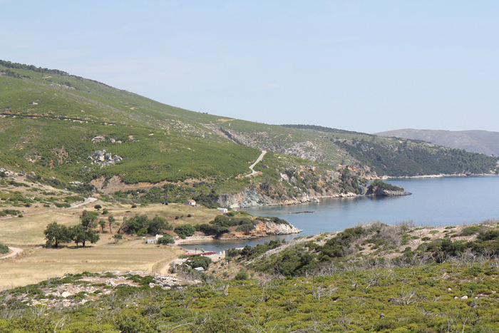 Udsigten ud over Agios Fokas, en af de mange skønne bugter på vestkysten af den nordlige del af Skyros.