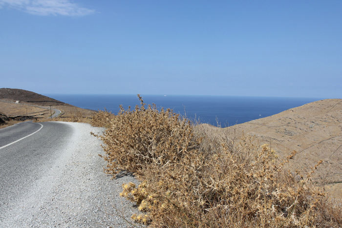 Der var meget tørt på Kythnos, da vi var der midt i september. Planterne i vejkanten var helt visne; her skal nok være flot i april/maj måned. 