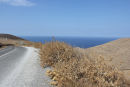 Der var meget tørt på Kythnos, da vi var der midt i september. Planterne i vejkanten var helt visne; her skal nok være flot i april/maj måned. 