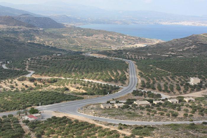 Udsigten ud over olivenplantagerne på det østlige Kreta. Øverst til højre i billedet ses byen Agios Nikolaos.