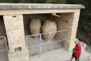 Knossos paladset på Kreta. Her ses de kæmpestore pythoi (krukker), som man opbevarede flydende forråd i. Hvordan mon man fik indholdet op - de er mandshøje? (Foto Jakob).