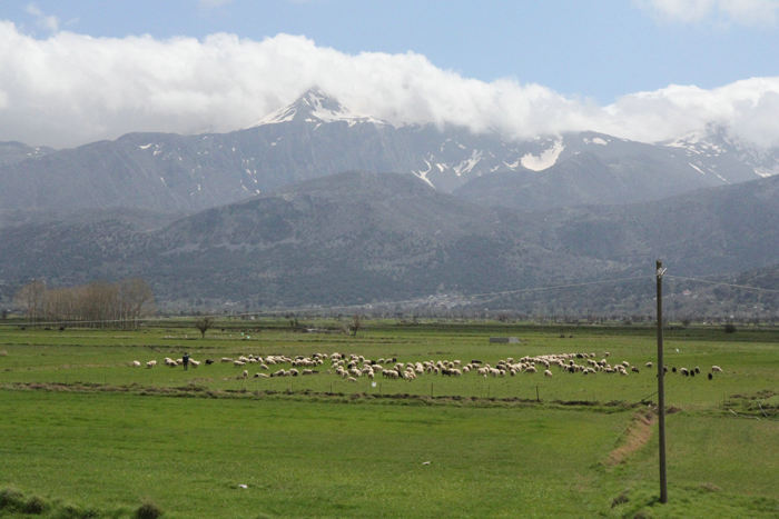 Lasithi Plateauet på Kreta. Når vi ser ældre billeder fra højsletten, er den et stort gartneri med hundredvis af små stykker med grøntsager. I dag er der nærmest kun græs til får. 