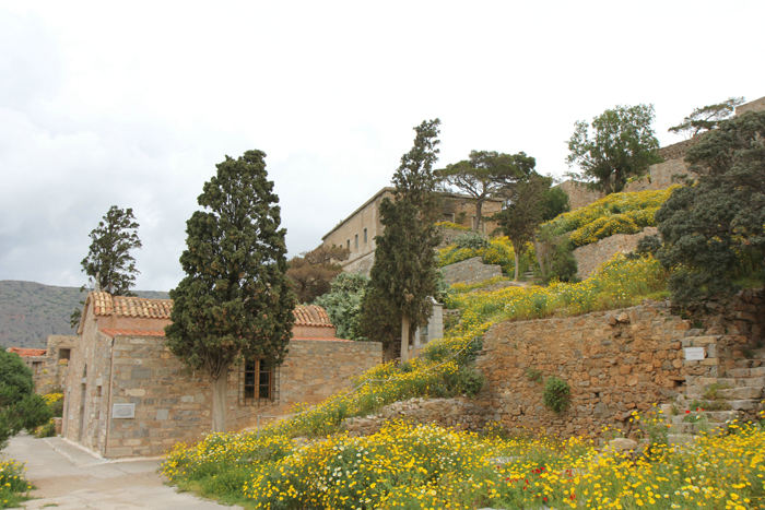 Det var forår på Spinalonga, da vi var der først i april måned. Der var vilde blomster overalt, som der også står i bogen ”Øen”. 