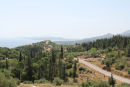 Zakynthos er en rigtig flot ø. Der er et specielt landskab med høje søjletræer af forskellige arter.