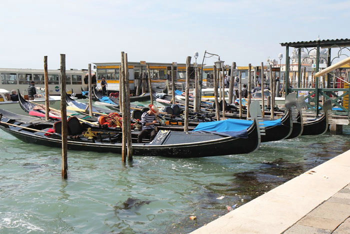 Gondoler fortøjet langs Molo san Marco neden for Dogepaladset. Der er ca. 400 gondoler i brug i Venedig.  