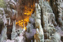 Grotte di Castellana. Lige ved nedgangen til de store grotter var 'loftet' faldet ned, og der var sollys. Det eneste sted, vi måtte fotografere. 