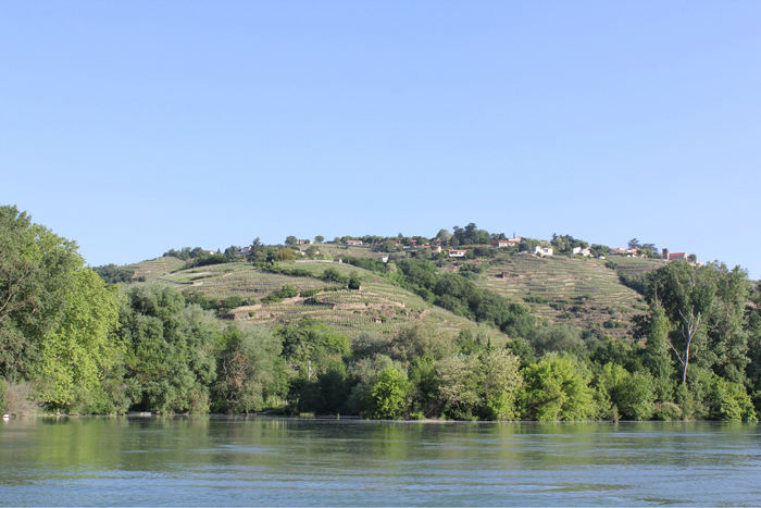 Vi nærmer os nu Lyon og vinmarkerne langs Rhône floden begynder at dukke op.