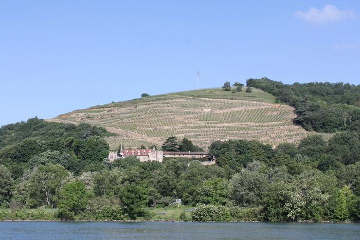 Et gammelt vinslot med vinmarkerne i baggrunden. Vi er i Cote du Rhône området.