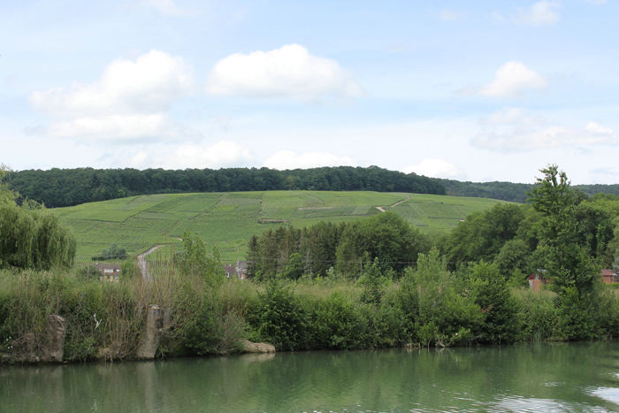 Udsigten fra La Marne op over vinmarkerne i Champagnedistriktet. Der var vinmarker overalt, hvor det var muligt at anlægge en vinmark.