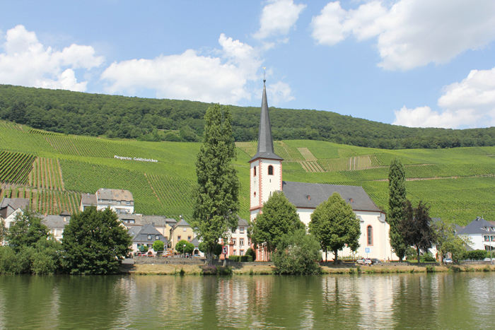Piesport, en af de flotte byer langs Mosel. I baggrunden vinmarkerne tilhørende vinhuset Piesporter Goldtröpfchen.