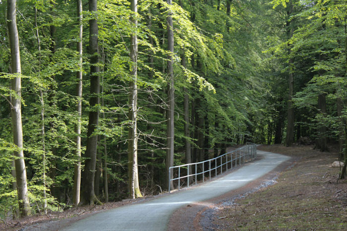 Fra Sassnitz og ud til Königsstuhl er der anlagt en flot cykelsti gennem Jasmund Nationalpark. Det var en rigtig fin tur.