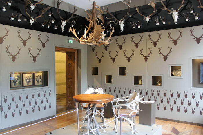 En af de flotte stuer på Jagdschloss Granitz. Møbler og lysekroner er lavet af kastestænger, afkastede gevirer fra kronvildt. 