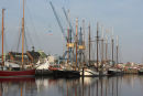 Nogle af de gamle sejlskibe, der skulle deltage i Hanse Sail i Rostock.  