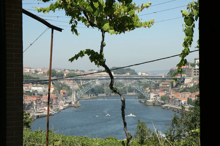 Der var en flot udsigt oppe fra Graham’s smagslokale og ind over Douro floden med den gamle 2 etagers bro – Ponte Luis.