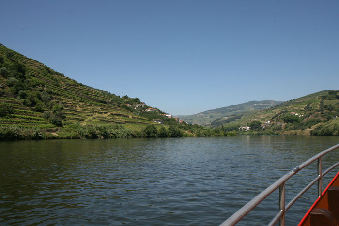 Et parti fra sejlturen på Douro floden, med vinmarker på skråningerne ned mod floden. 