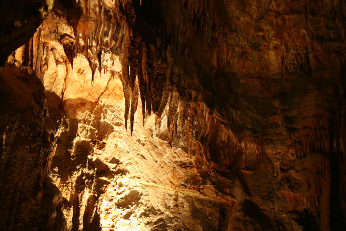 Parti fra drypstensgrotten i Mira de Aire. Det skulle være Portugals største grotte. Den blev fundet i 1947 og blev åbnet for offentligheden i 1953. Der var gjort meget ud af belysningen.