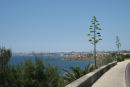 Parti fra vor tur langs kysten. I baggrunden ses Cascais og Estoril. Der var en flot beplantning det meste af vejen.  