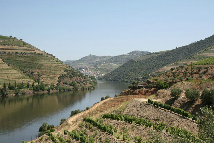 Douro floden i nærheden af den spanske grænse. Det er fra dette område den bedste vin til fremstillingen af portvin produceres. Her var meget varmt, mellem 35 og 37 grader, da vi var der. 