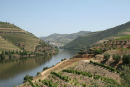 Douro floden i nærheden af den spanske grænse. Det er fra dette område den bedste vin til fremstillingen af portvin produceres. Her var meget varmt, mellem 35 og 37 grader, da vi var der. 