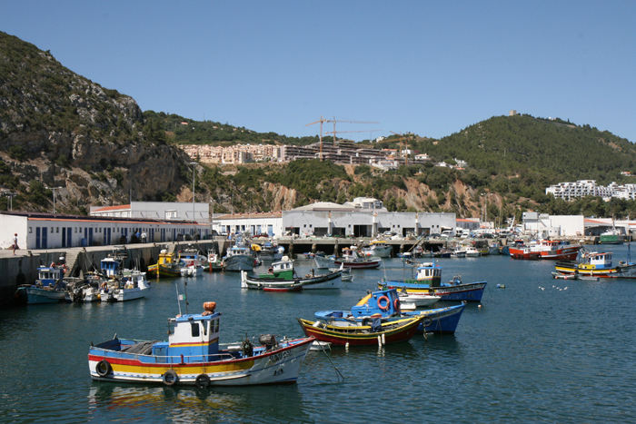 De farverige fiskerbåde i havnen i Sesimbra, der har en stor fiskeflåde. Der var for øvrigt fiskekonkurrence, mens vi var der:det gjaldt den største sværdfisk.