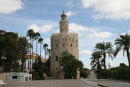 Torre del Oro – Guld tårnet – i Sevilla. Det er blevet en slags vartegn for byen. Der er indrettet et maritimt museum i tårnet. 